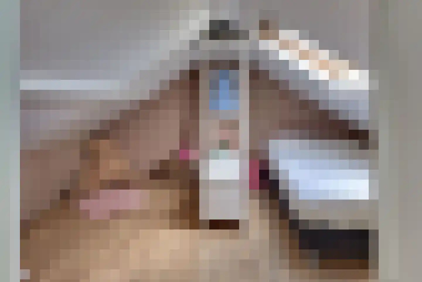 Oltmansstraat 7 Harderwijk thumbnail 53