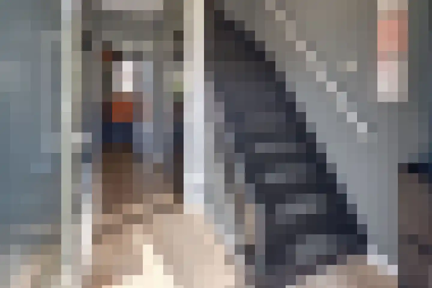 Oltmansstraat 7 Harderwijk thumbnail 9
