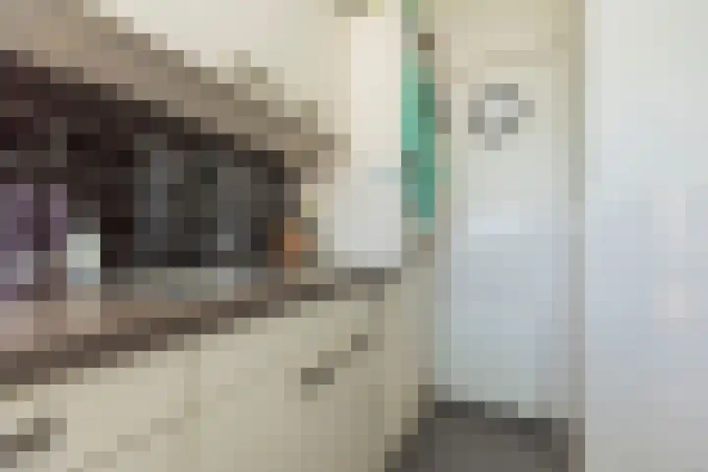 Oltmansstraat 73 Papendrecht thumbnail 12