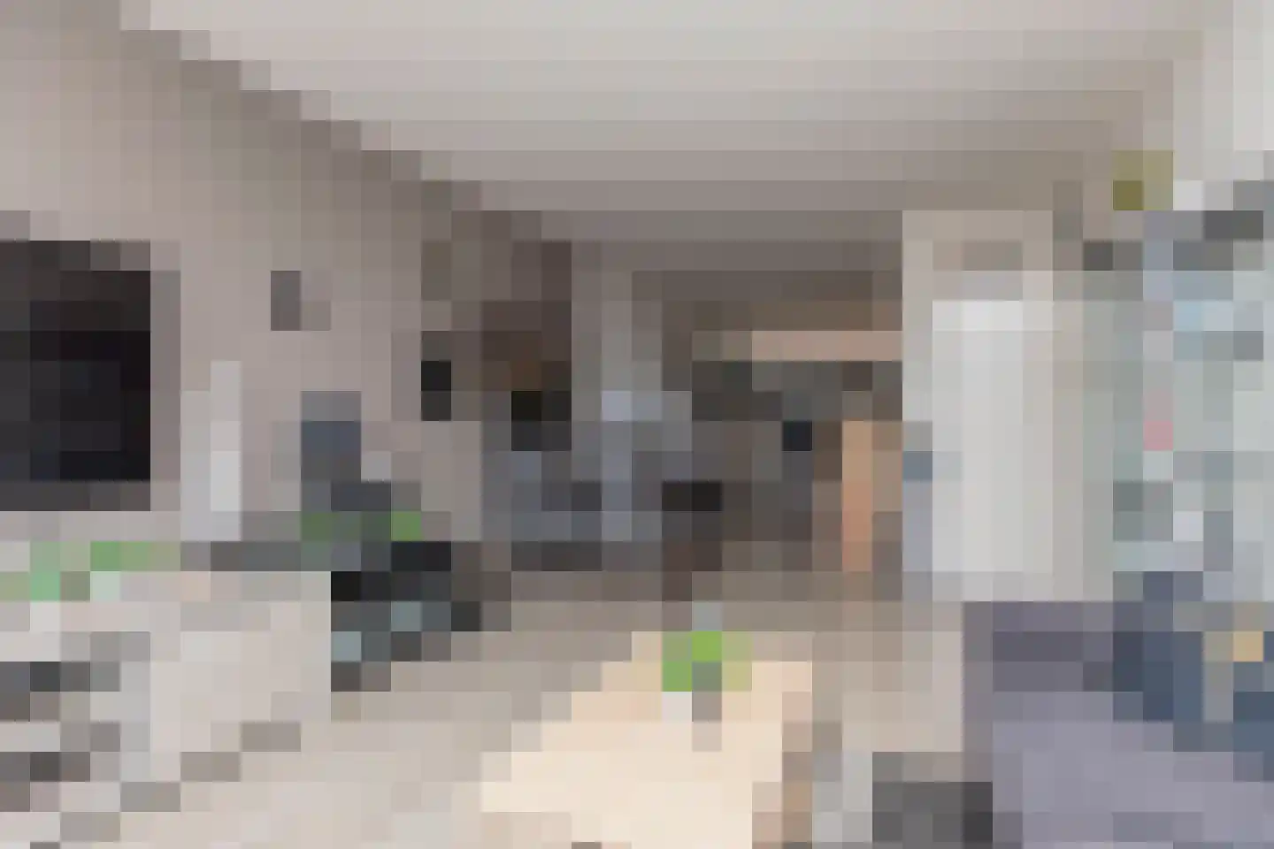 Oltmansstraat 73 Papendrecht thumbnail 6