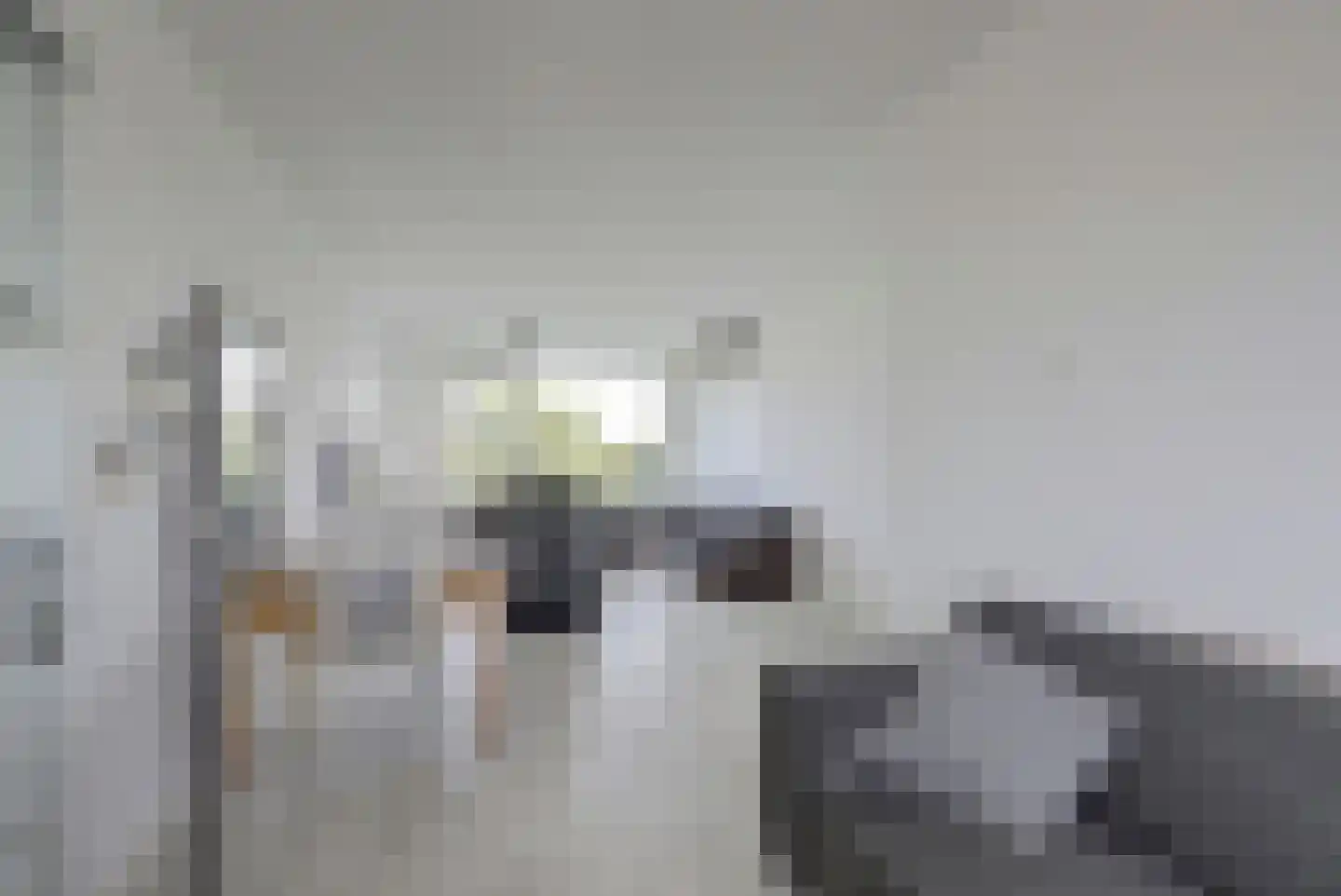 Oltmansstraat 83 Papendrecht thumbnail 15