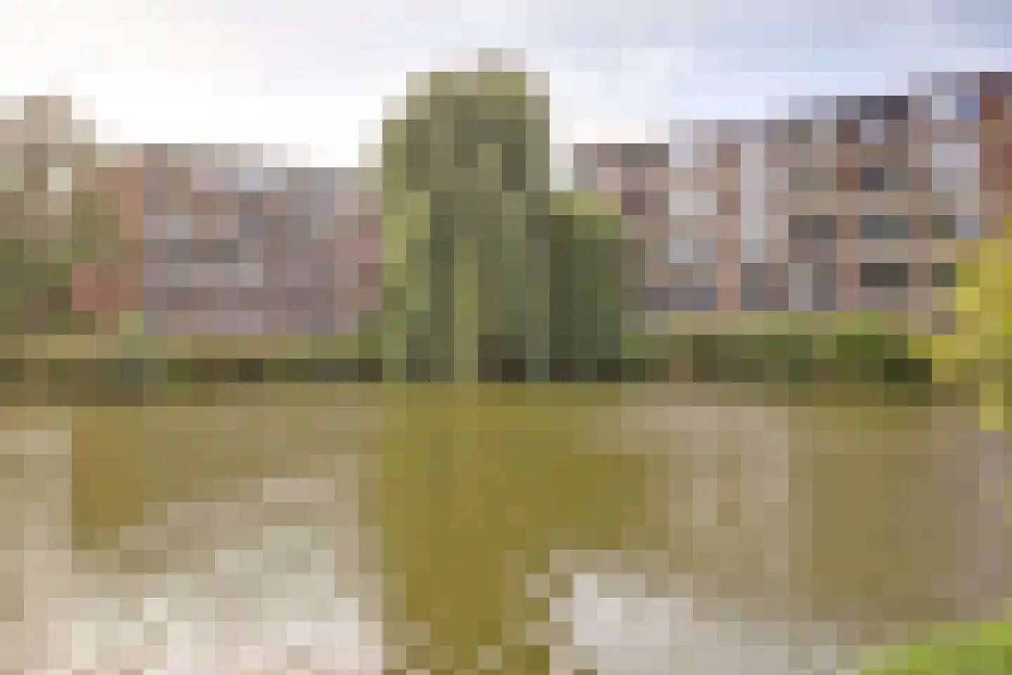 Oltmansstraat 83 Papendrecht thumbnail 8