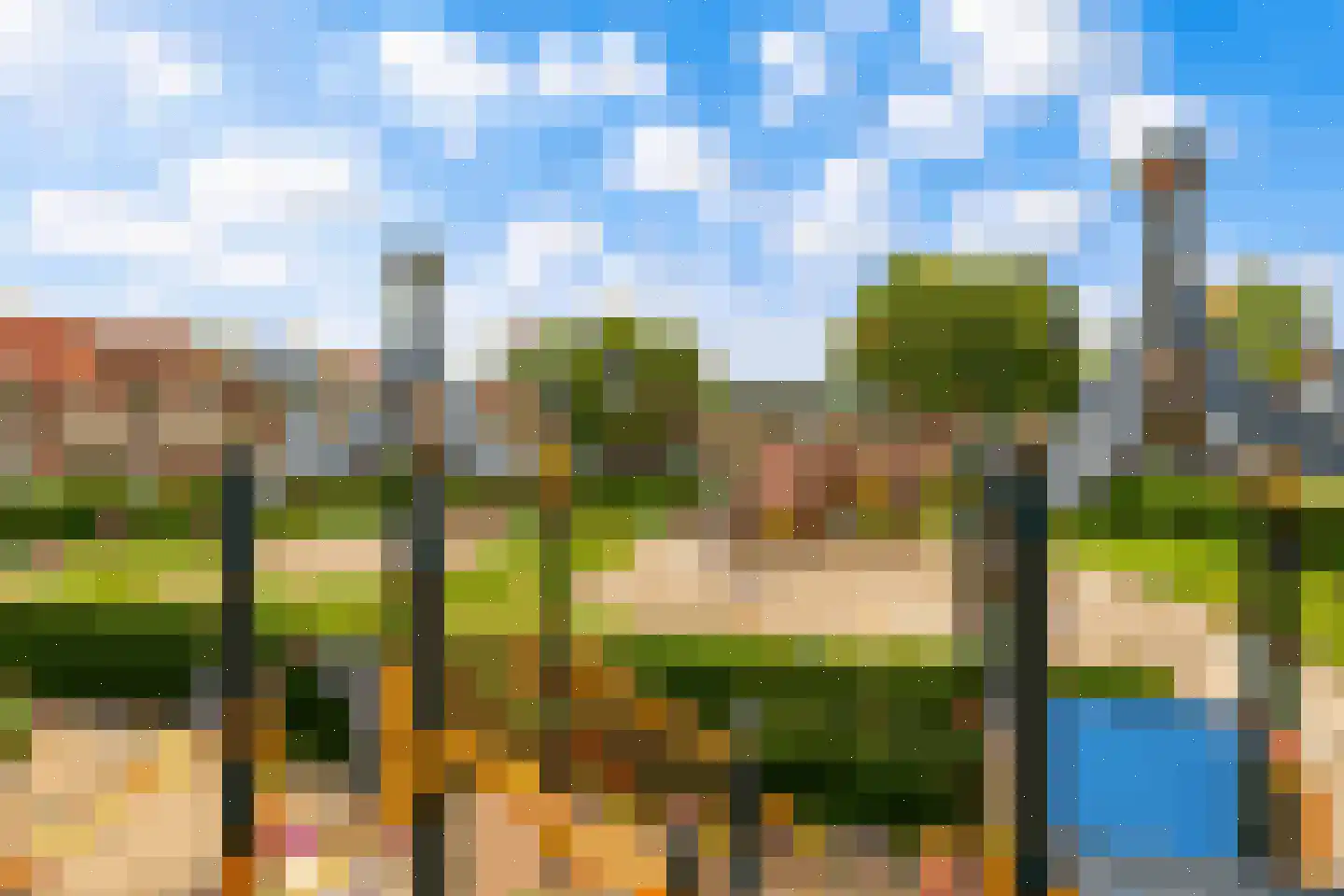 Olycanstraat 22 Haarlem thumbnail 25