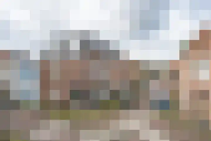 Olycanstraat 22 Haarlem thumbnail 5