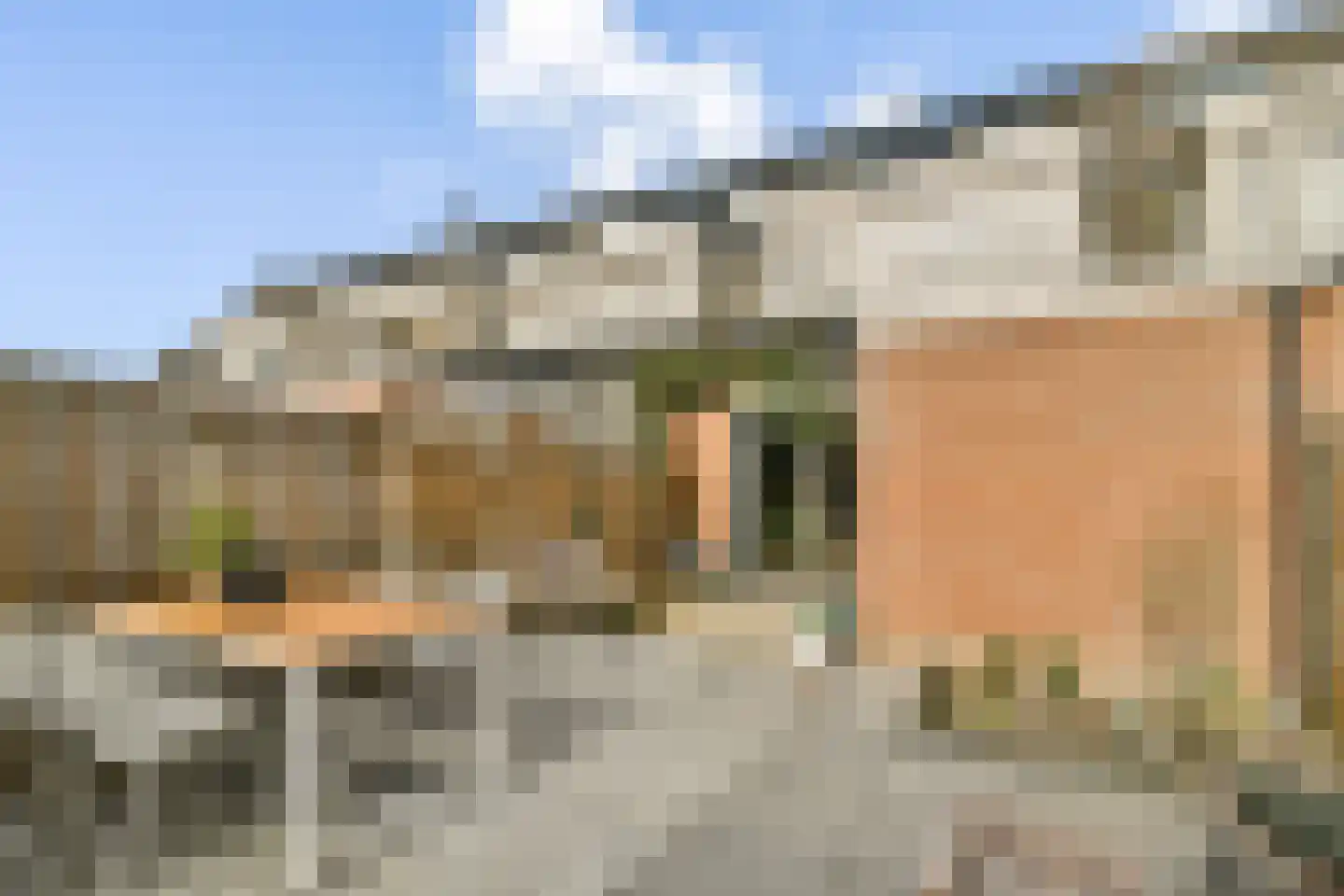 Olykamp 94 Hendrik-Ido-Ambacht thumbnail 14