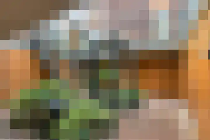 Olympia 19 Driebergen-Rijsenburg thumbnail 6
