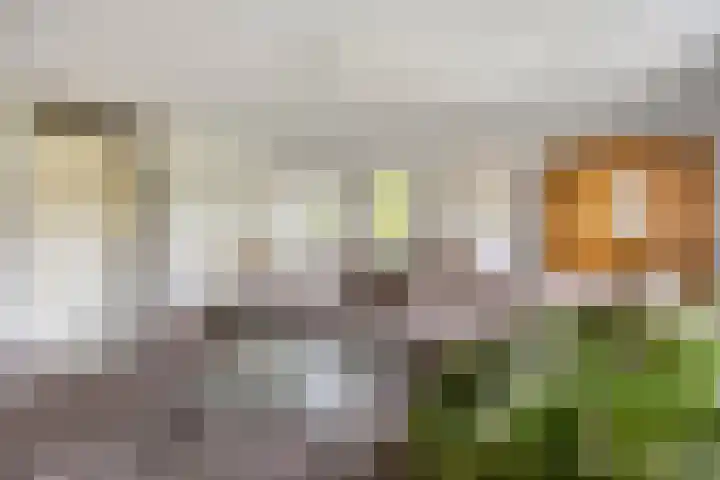 Olympiade 1 Brunssum thumbnail 12