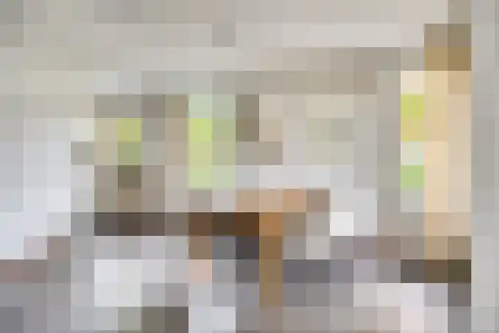 Olympiade 1 Brunssum thumbnail 15