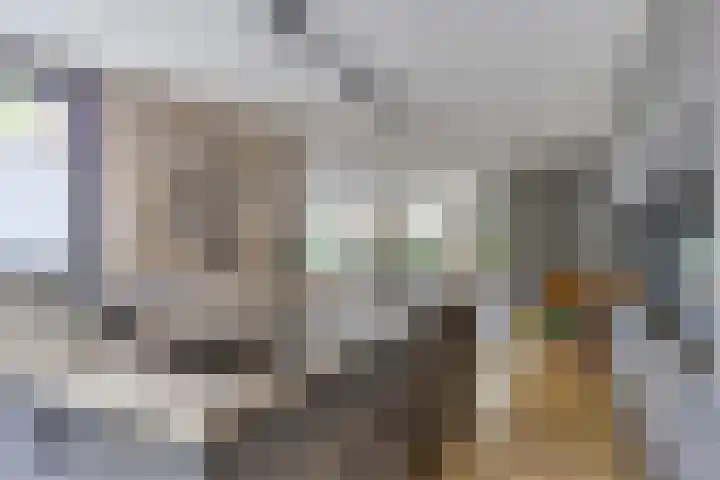 Olympiade 3 i Krimpen aan den IJssel thumbnail 13