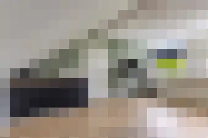 Olympiade 3 i Krimpen aan den IJssel thumbnail 31