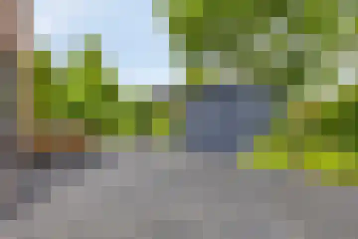 Olympiade 3 i Krimpen aan den IJssel thumbnail 32
