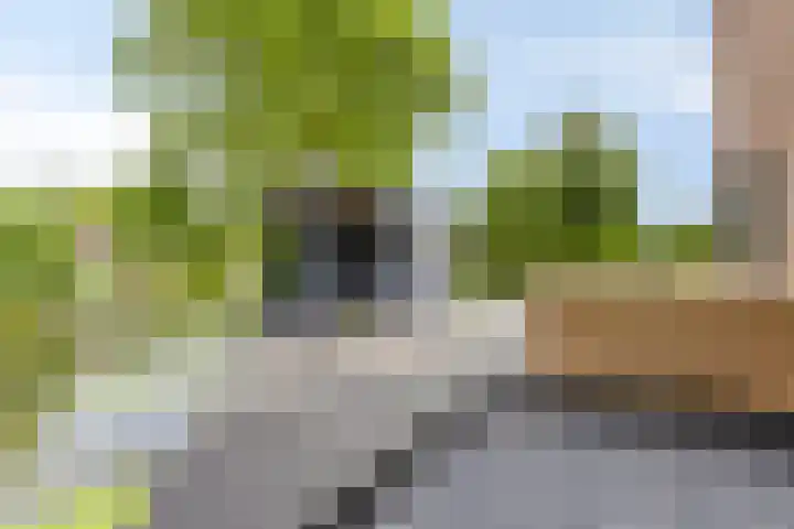 Olympiade 3 i Krimpen aan den IJssel thumbnail 36