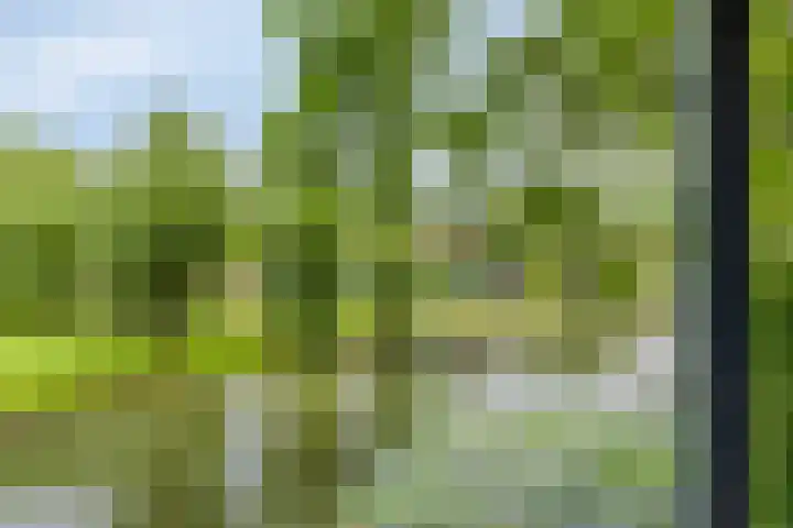 Olympiade 3 i Krimpen aan den IJssel thumbnail 37