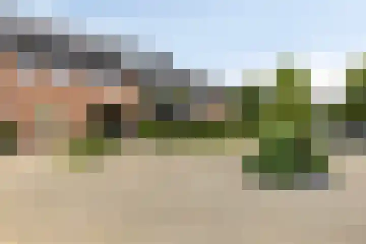 Olympiade 3 i Krimpen aan den IJssel thumbnail 42