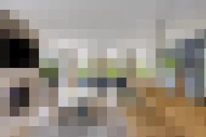 Olympiade 3 i Krimpen aan den IJssel thumbnail 7