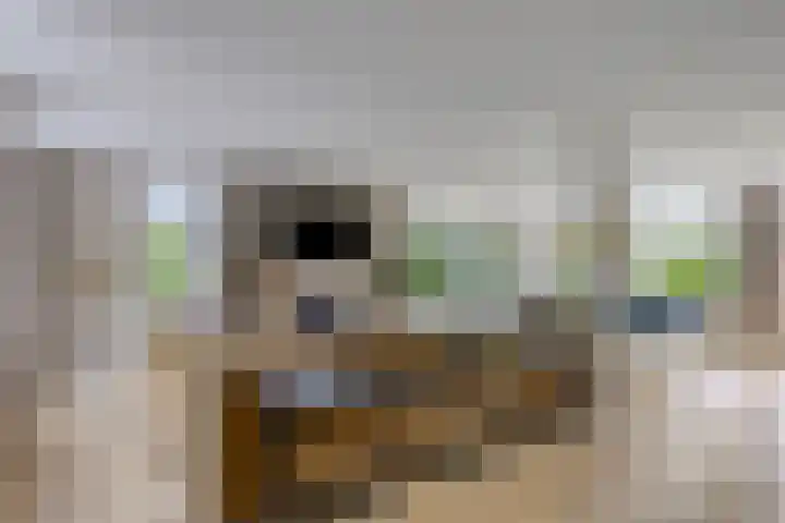 Olympiade 3 i Krimpen aan den IJssel thumbnail 8