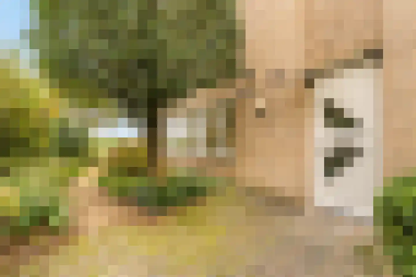 Olympiadelaan 16 Amstelveen thumbnail 8