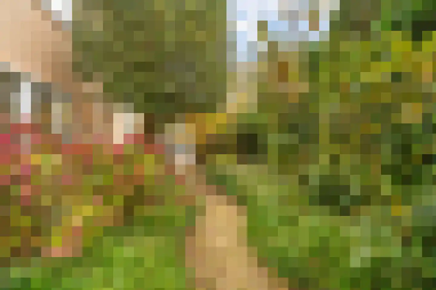 Olympiadelaan 16 Amstelveen thumbnail 9