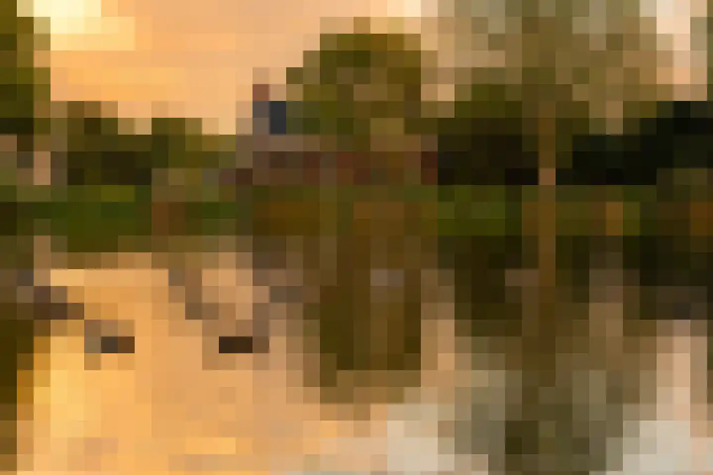 Olympiadelaan 19 Amstelveen thumbnail 56