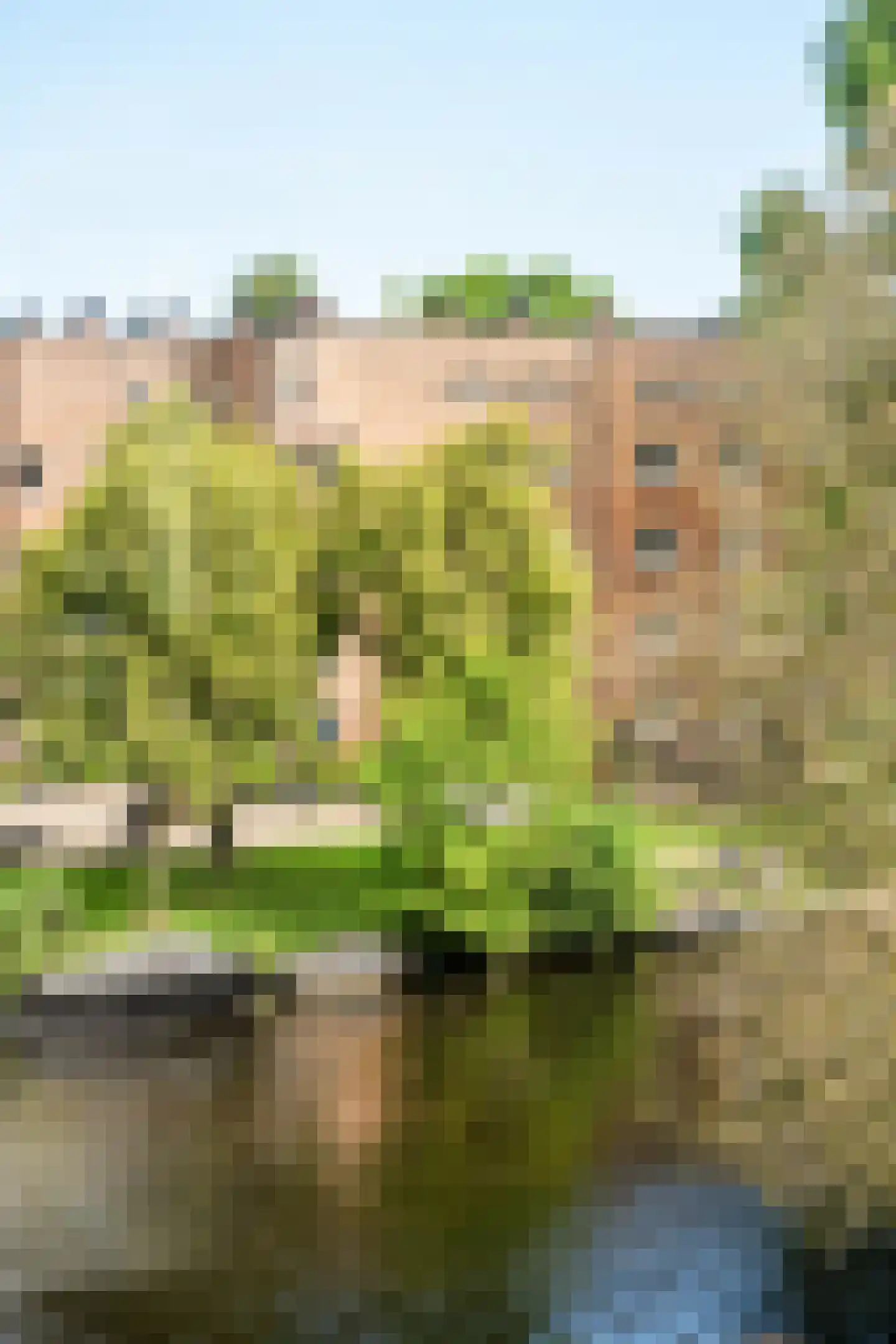 Olympiakade 19 1 Amsterdam thumbnail 4