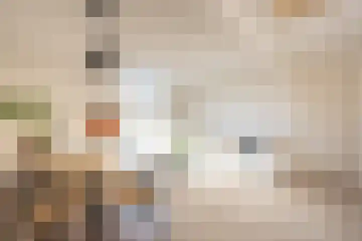 Olympiakade 24 H Amsterdam thumbnail 7