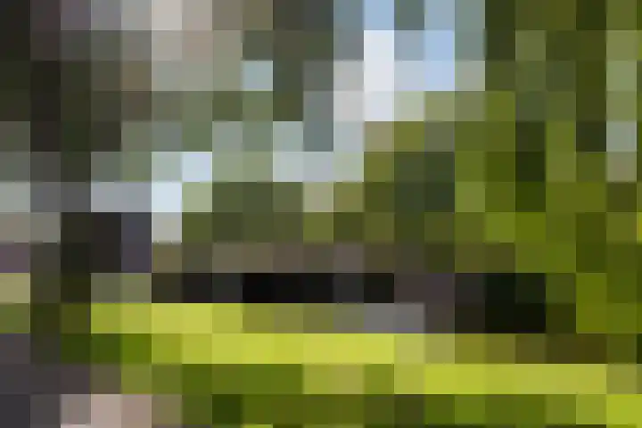 Olympiakade 34 2 Amsterdam thumbnail 43