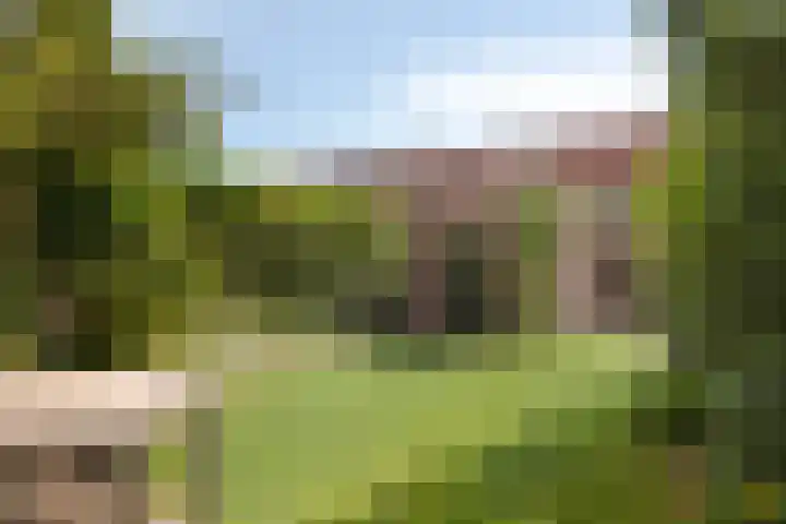Olympialaan 10 Eindhoven thumbnail 24
