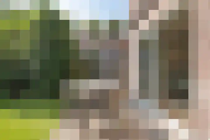 Olympialaan 10 Eindhoven thumbnail 25