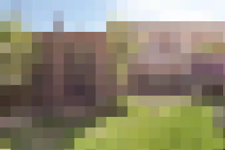 Olympialaan 10 Eindhoven thumbnail 26