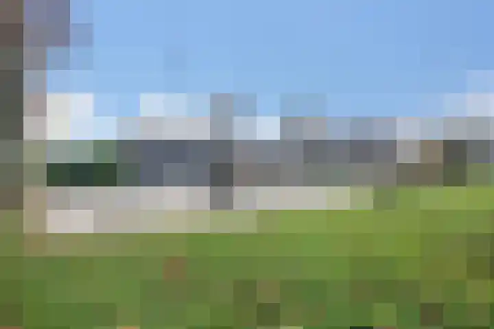 Olympialaan 10 Eindhoven thumbnail 28