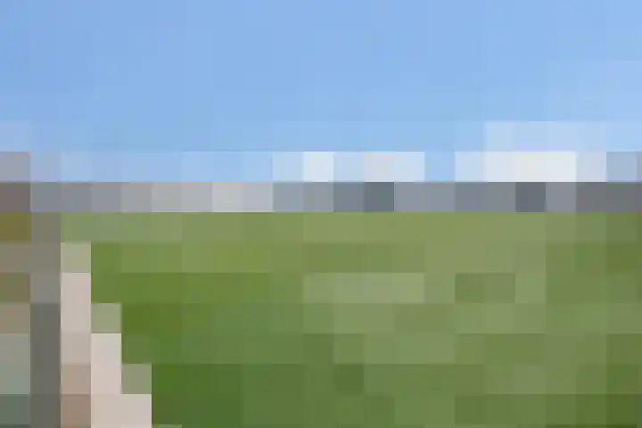Olympialaan 10 Eindhoven thumbnail 29