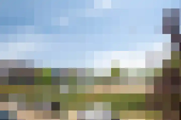 Olympialaan 10 Eindhoven thumbnail 30