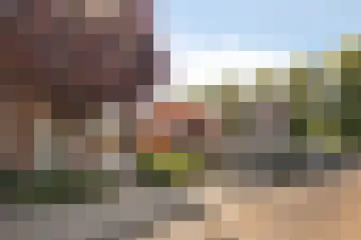 Olympialaan 10 Eindhoven thumbnail 31