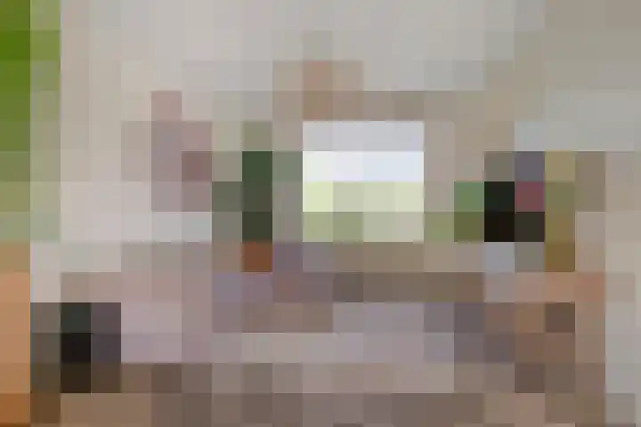 Olympialaan 10 Eindhoven thumbnail 6