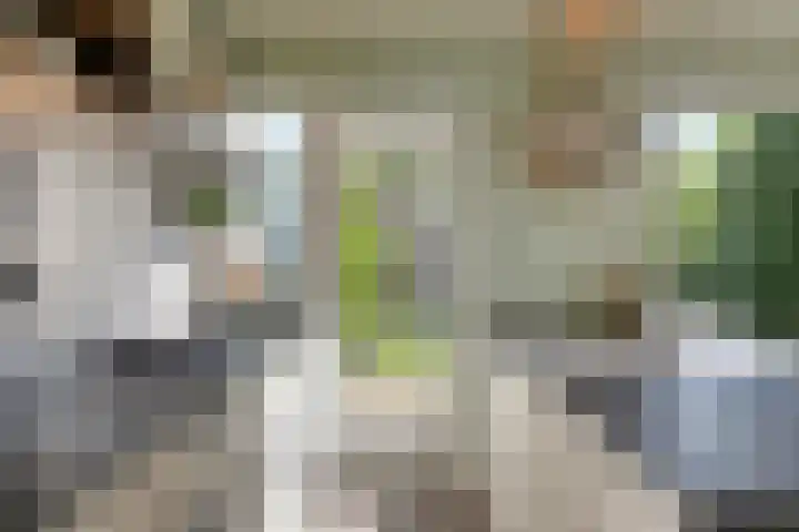 Olympialaan 10 Eindhoven thumbnail 9