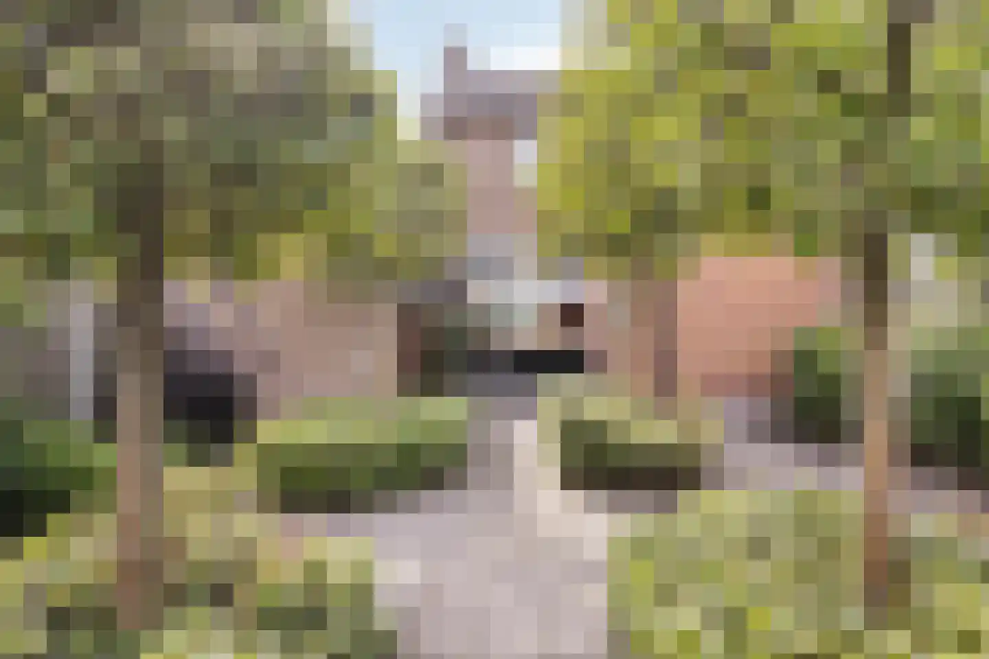 Olympialaan 33 Enschede thumbnail 4