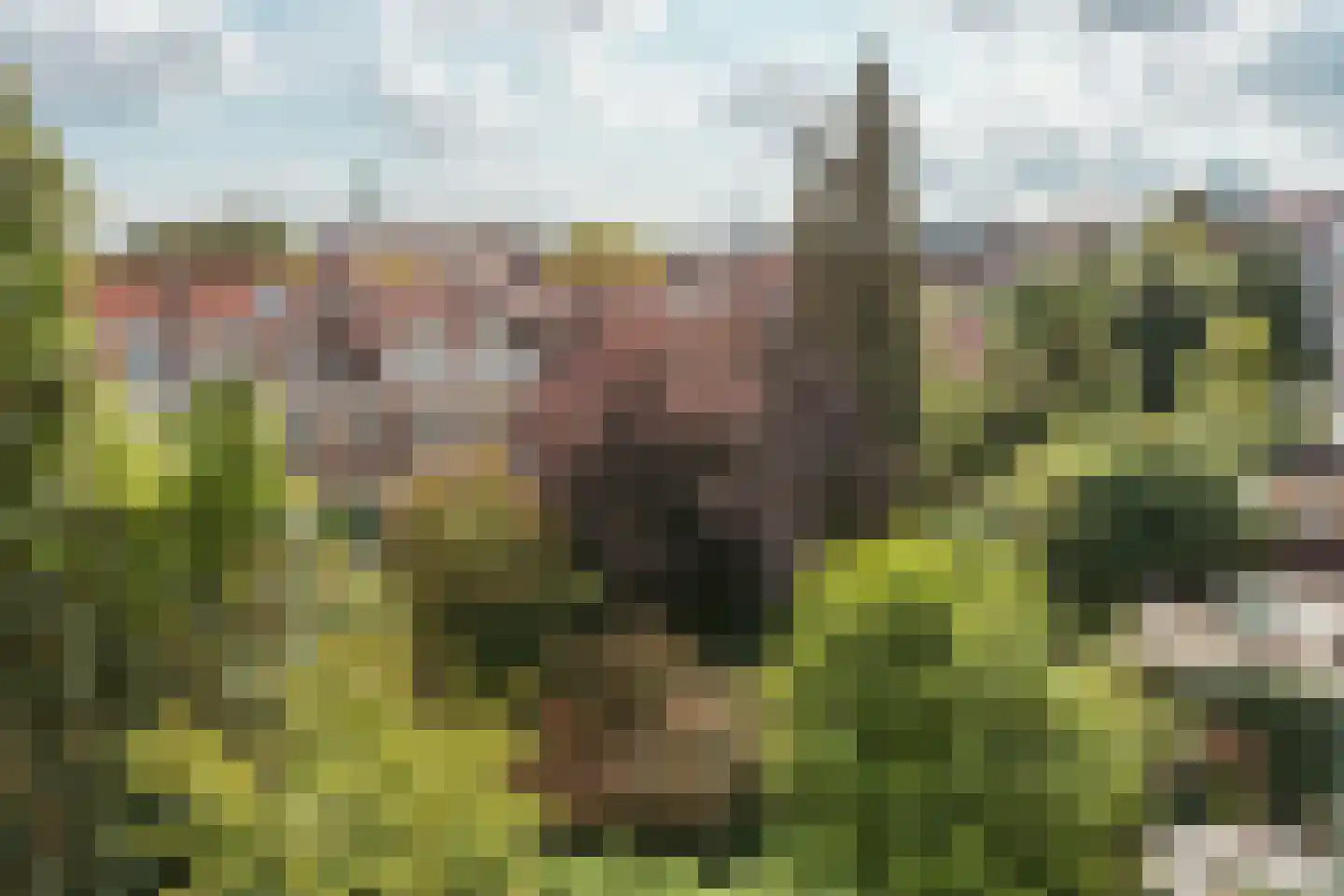 Olympiaplein 43 B Amsterdam thumbnail 34