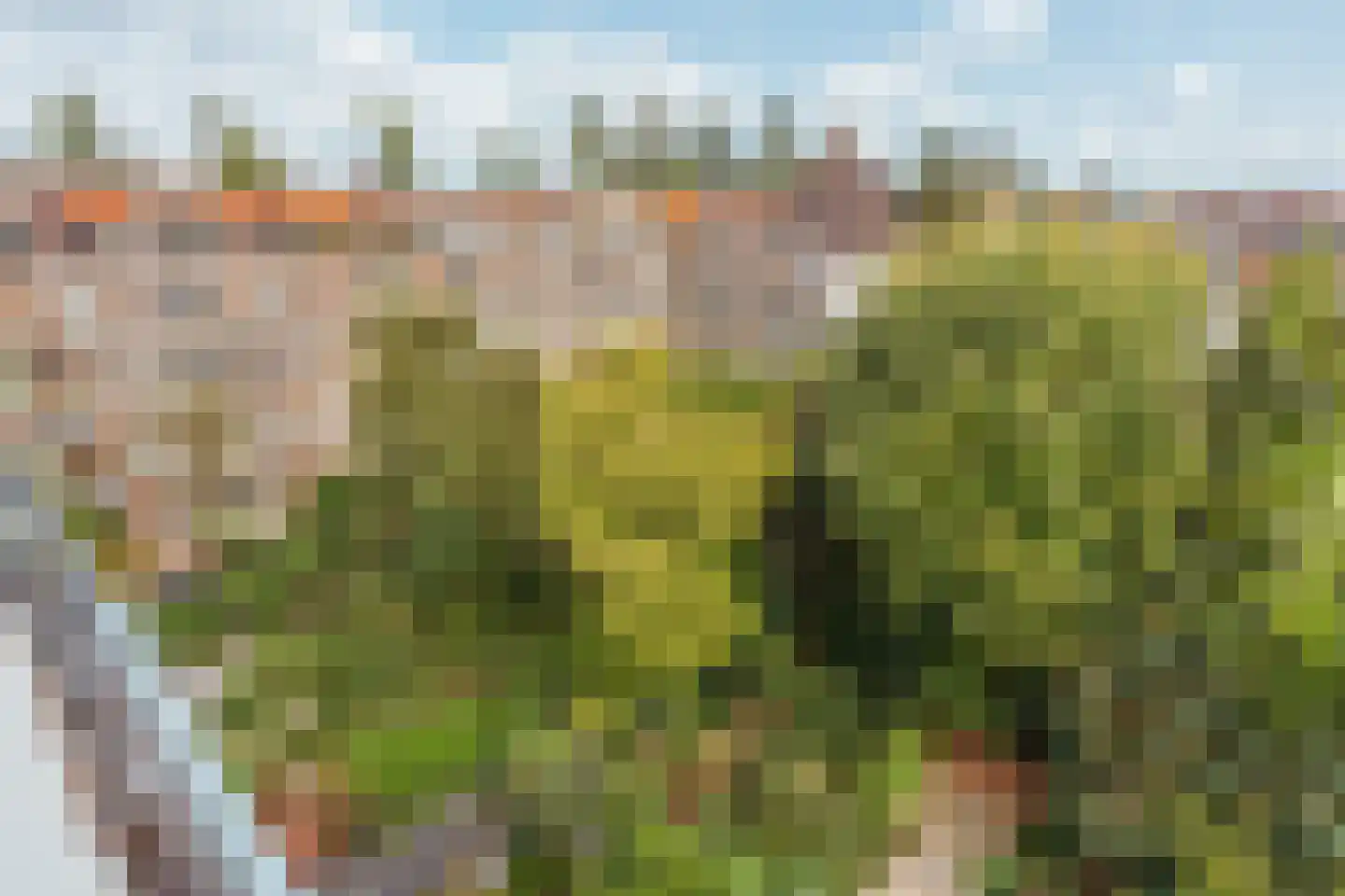 Olympiaplein 43 B Amsterdam thumbnail 38