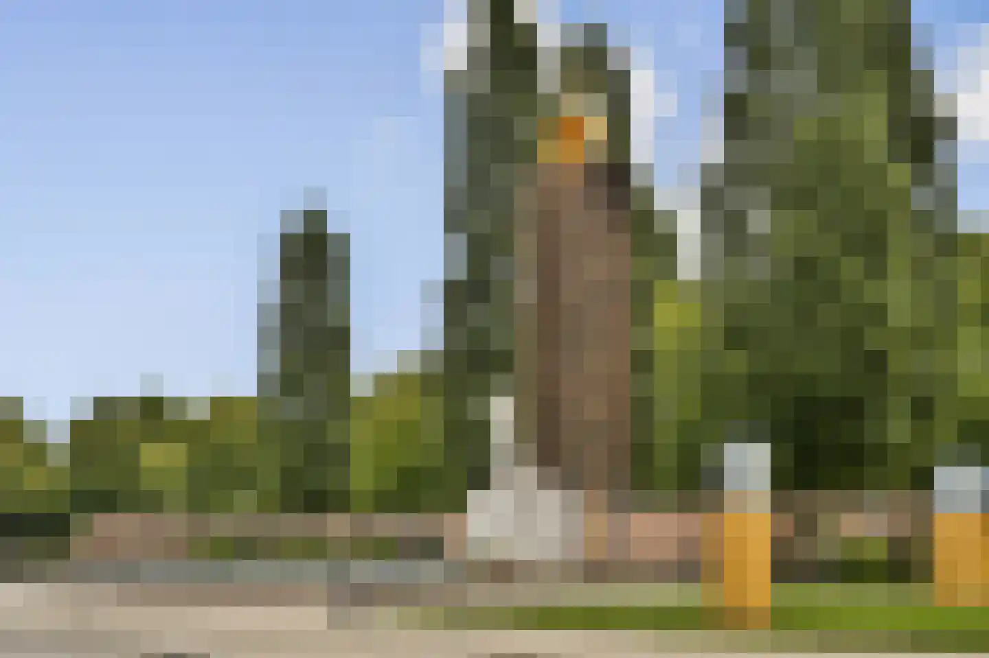 Olympiaplein 53 H Amsterdam thumbnail 54