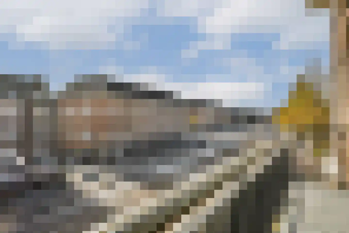 Olympiaplein 89 1 Amsterdam thumbnail 5