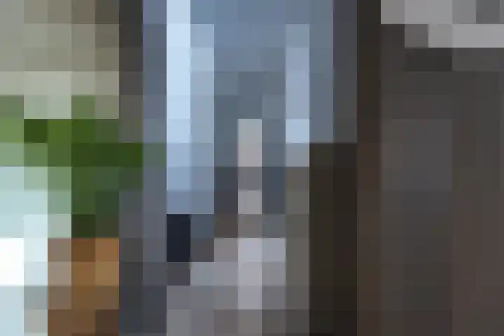 Olympiastraat 2 Landgraaf thumbnail 7