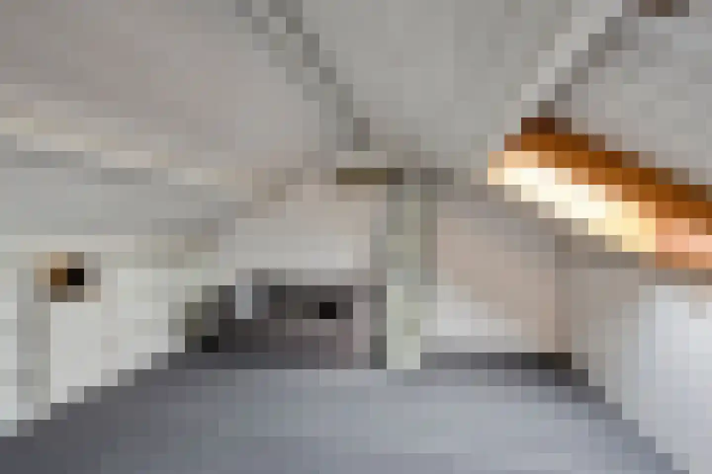 Olympiastraat 4 Purmerend thumbnail 25