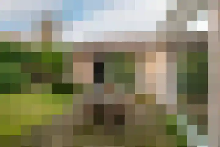Olympiastraat 40 Breda thumbnail 20