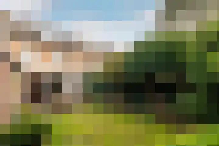 Olympiastraat 40 Breda thumbnail 21