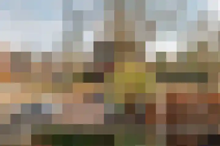 Olympiastraat 40 Breda thumbnail 28