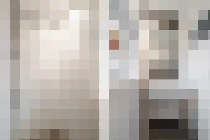 Olympiastraat 40 Breda thumbnail 32