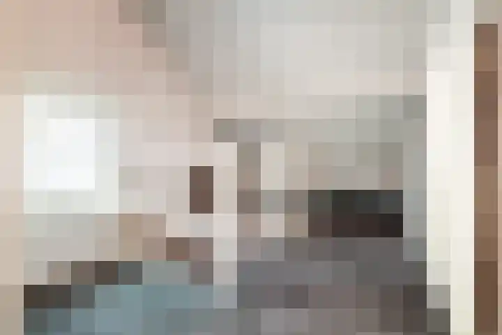 Olympiastraat 40 Breda thumbnail 34