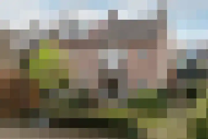 Olympiastraat 40 Breda thumbnail 38