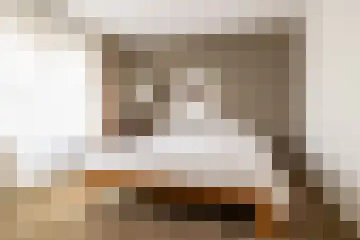 Olympiastraat 40 Breda thumbnail 4