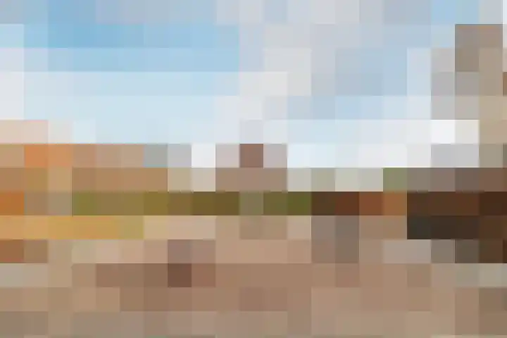 Olympiastraat 40 Breda thumbnail 42